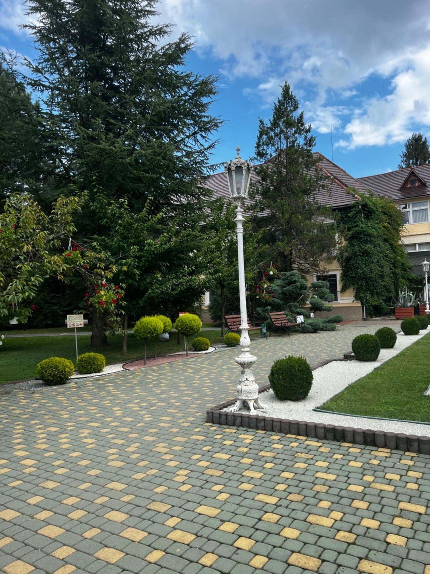 Apartment at Kvitka Polonyny Solochin Zewnętrze zdjęcie